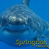 Shark Month at South Africas Springbok Casino Features Freeroll Slots Tournament and Casino Bonus